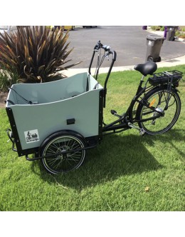 Cargo Box Bike Bakfiet Bicycle Family Kids Trailer Beach Park Electric